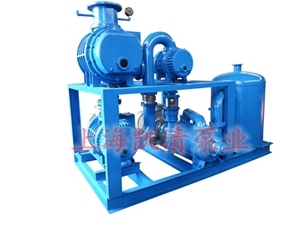 羅茨水環(huán)真空機(jī)組外形圖